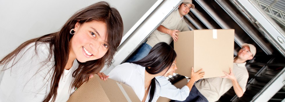 Professional Removalists Bellevue QLD